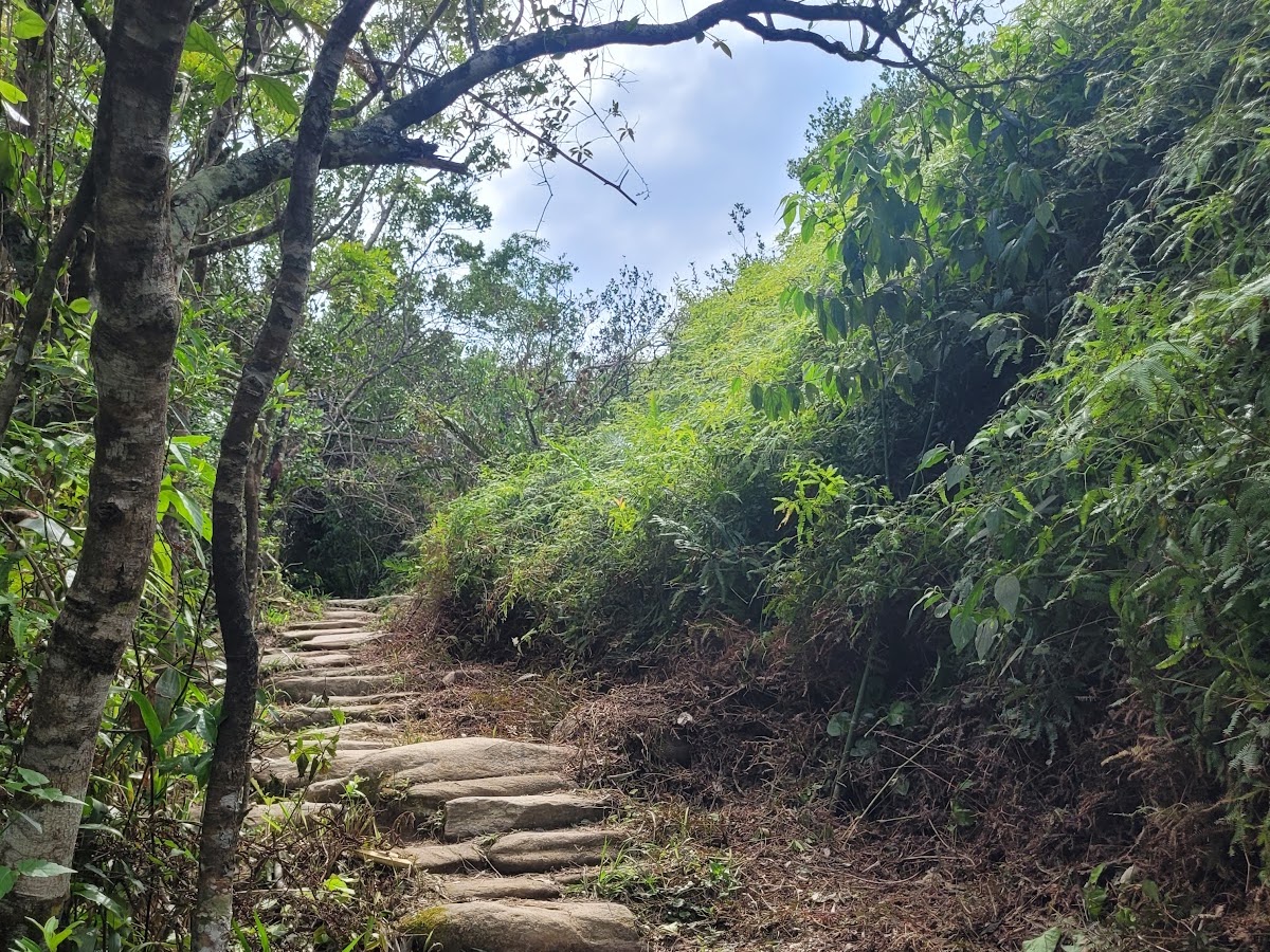 Trilha ao Morro da Coroa / Mirante em Florianópolis — foto 2