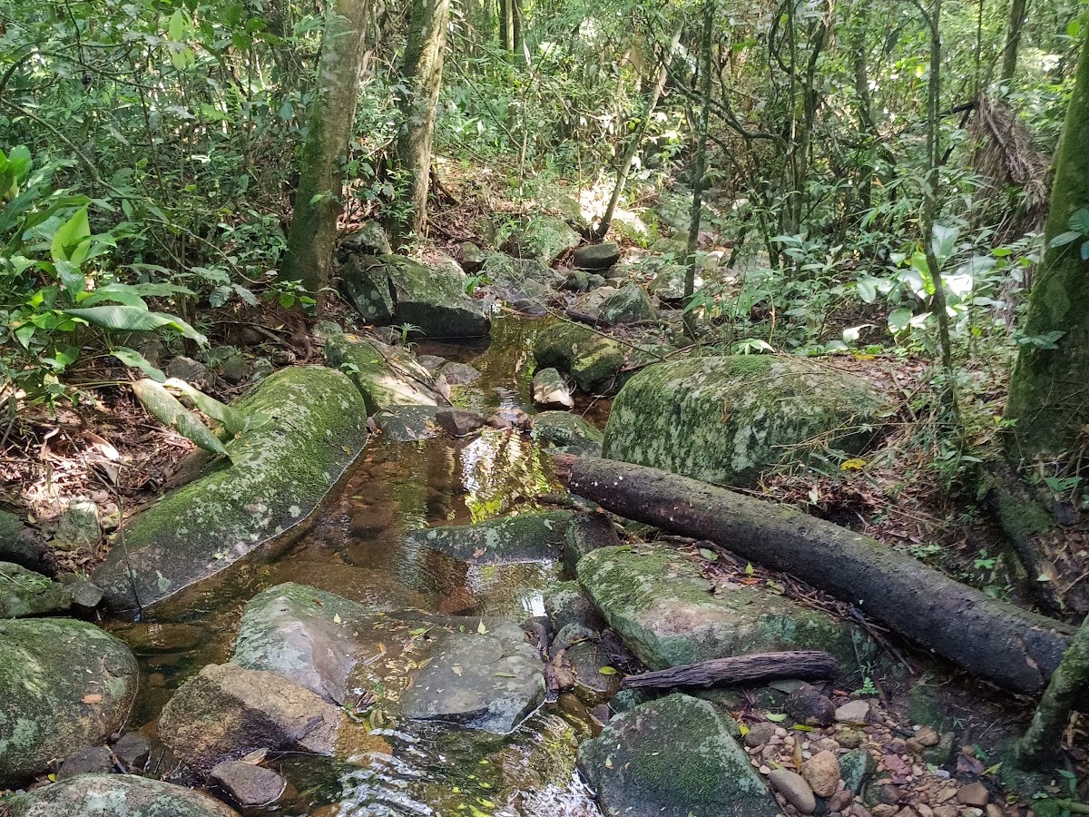 Trilha Caminho da Gurita em Florianópolis — foto 3
