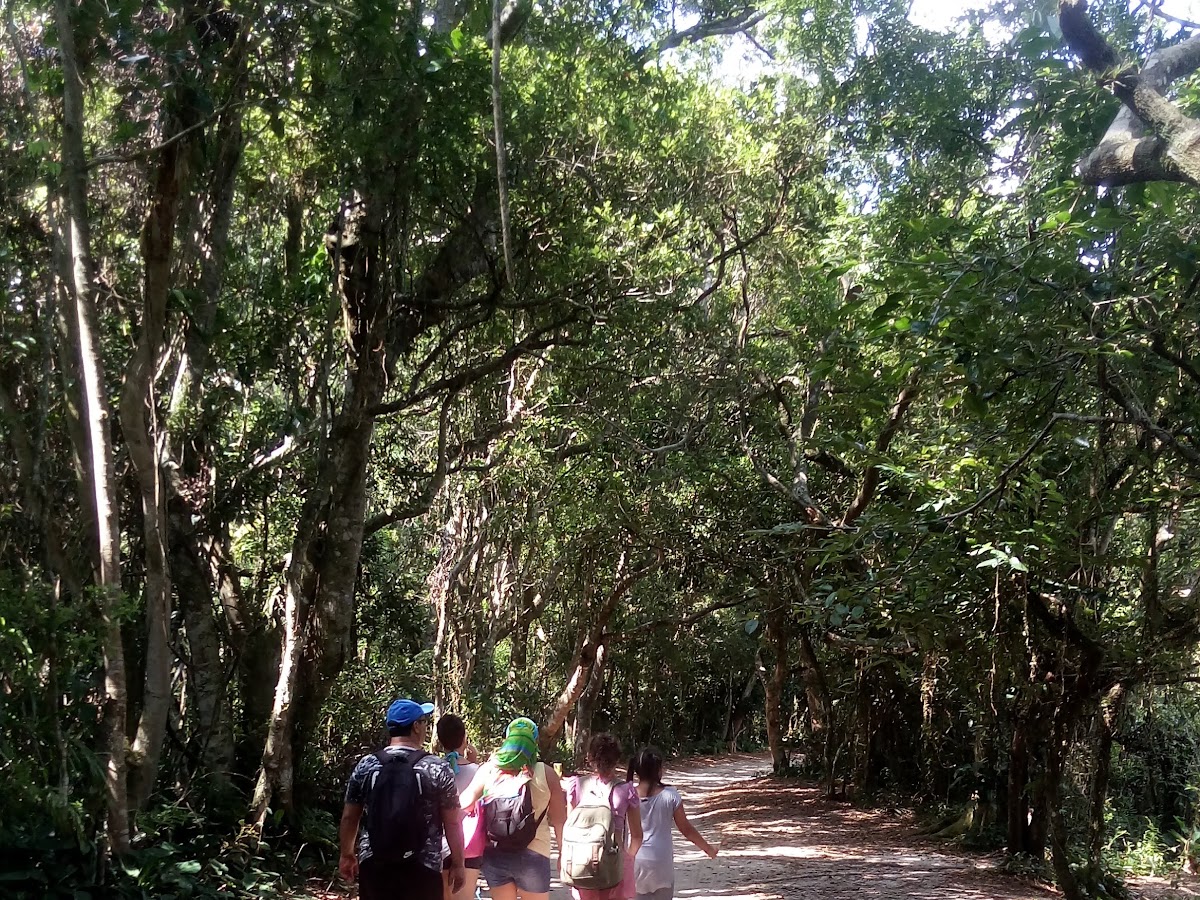 Trilha Caminho da Gurita em Florianópolis — foto 4