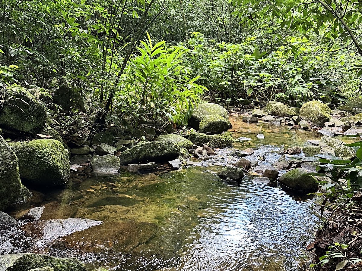 Trilha Caminho dos Naufragados em Florianópolis — foto 2