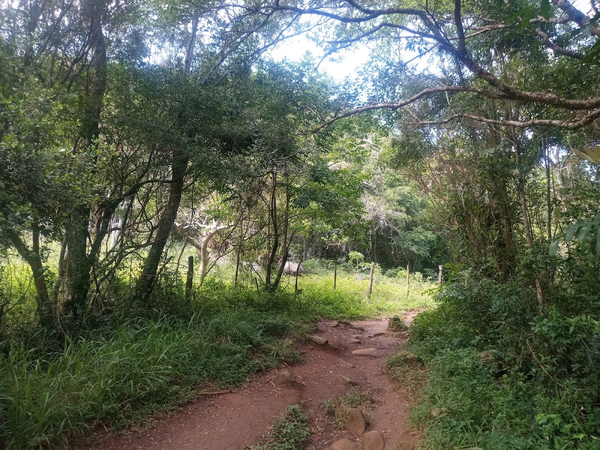 Trilha Caminho dos Naufragados em Florianópolis — foto 3