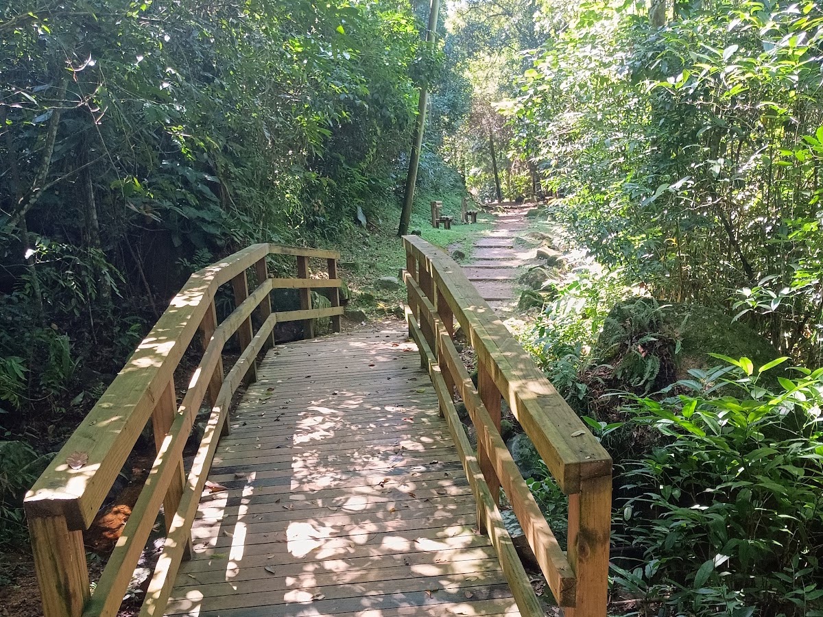 Trilha costa da lagoa em Florianópolis — foto 3