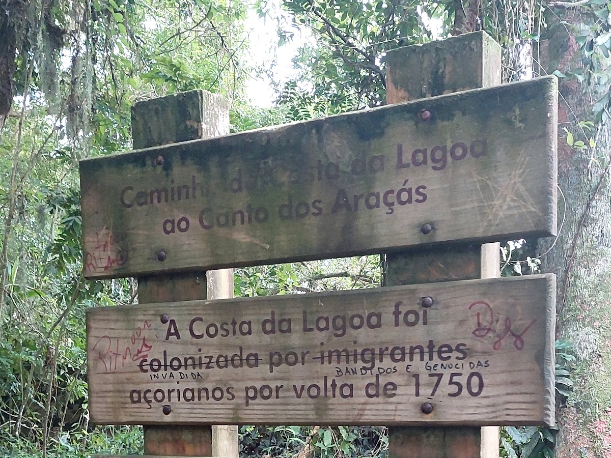 Trilha costa da lagoa em Florianópolis — foto 4