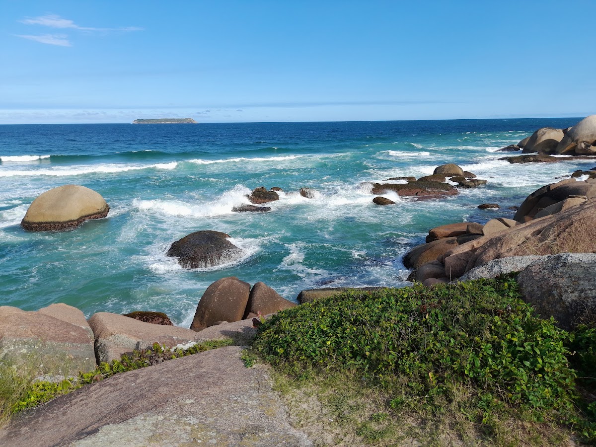 Trilha da Galheta em Florianópolis — foto 2