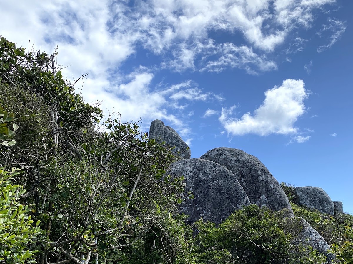 Trilha da Galheta em Florianópolis — foto 3