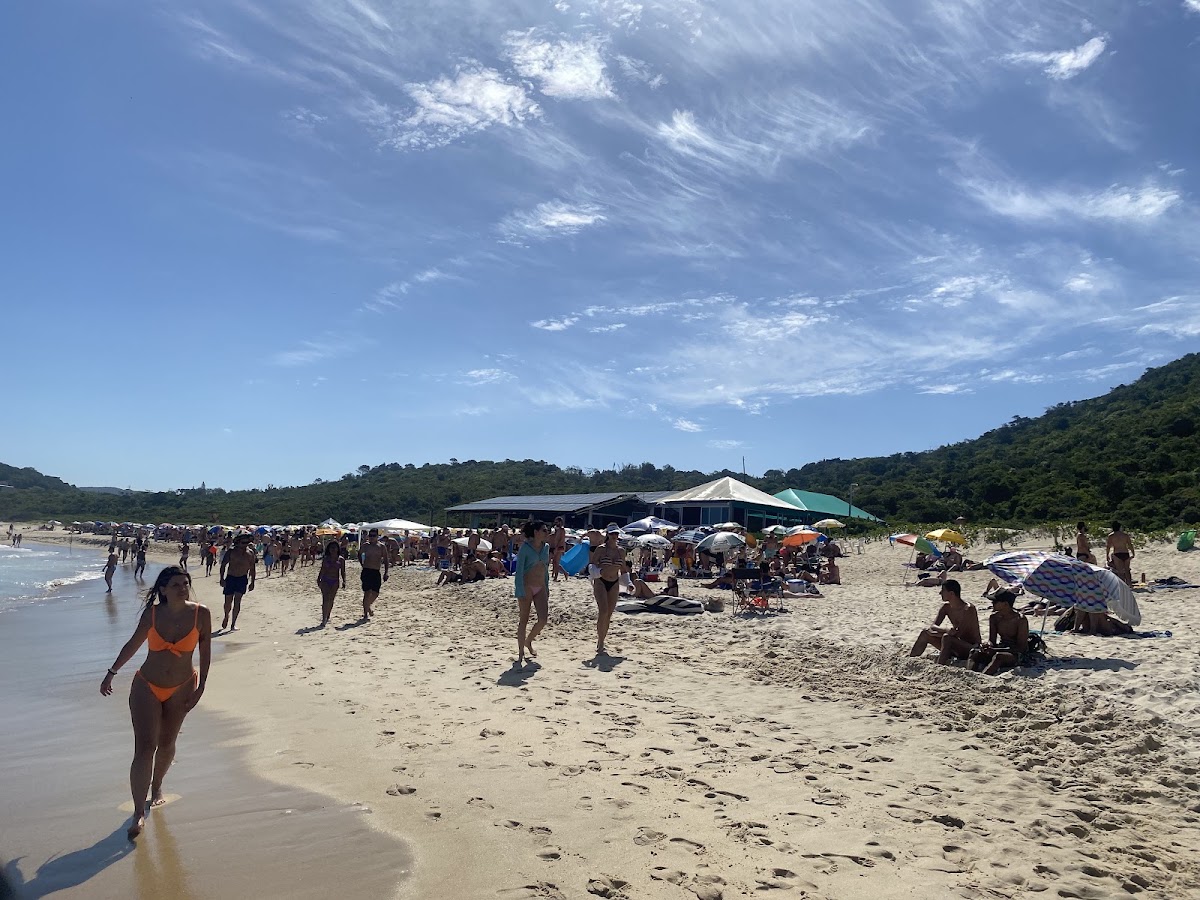 Trilha da Galheta em Florianópolis — foto 4