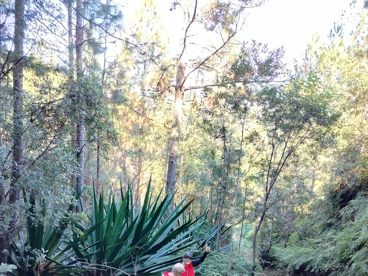Trilha da Oráculo. em Florianópolis — foto 2