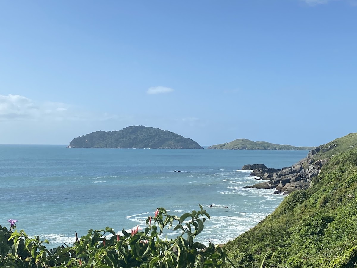 Trilha do Morro das Aranhas em Florianópolis — foto 3