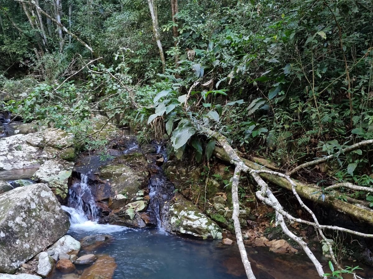 Trilha do Poção Córrego Grande em Florianópolis — foto 2