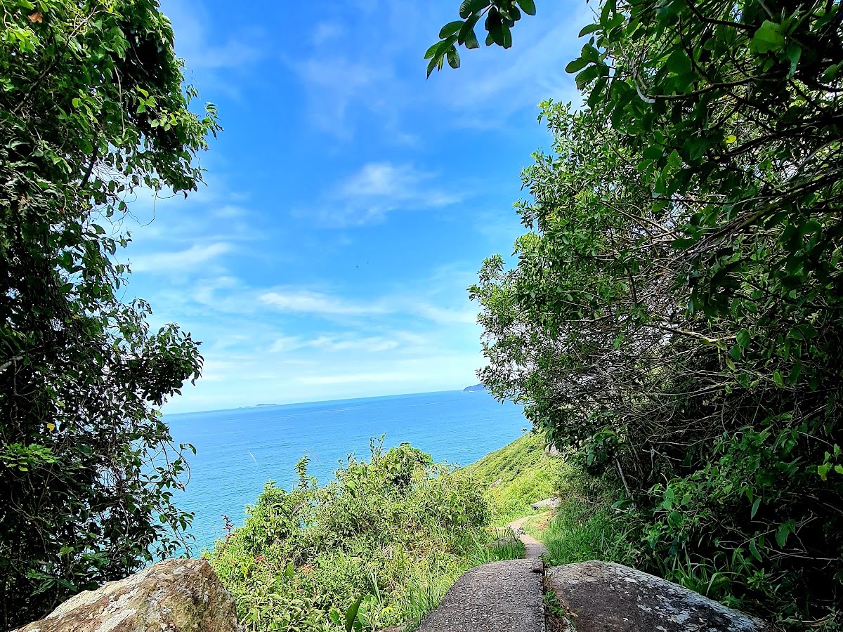 Trilha do Saquinho em Florianópolis — foto 4