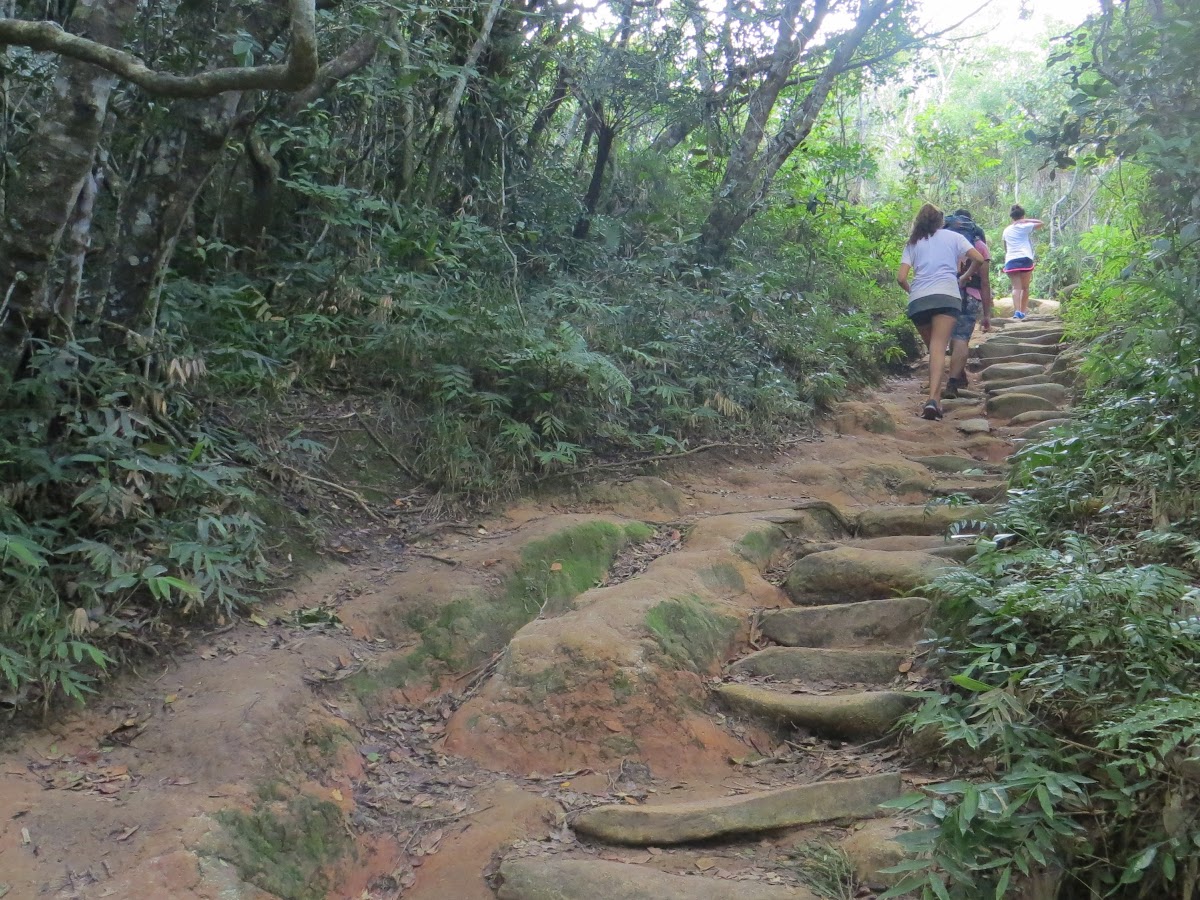 Trilha Lagoinha do Leste em Florianópolis — foto 4