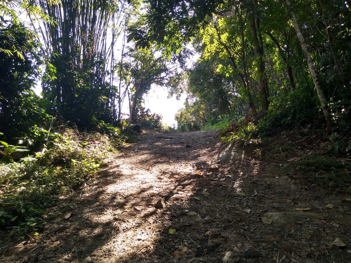 Trilha Monte Verde até Costa da Lagoa em Florianópolis — foto 2