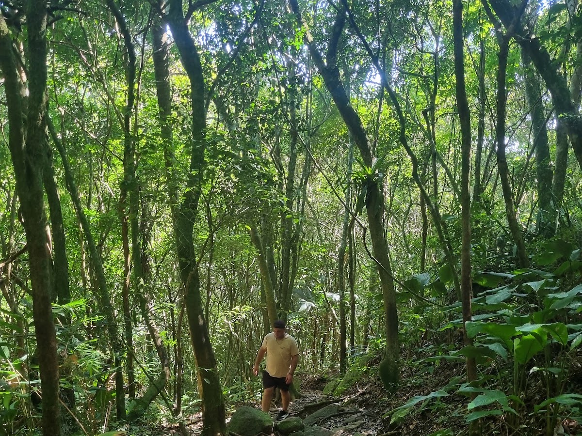 Trilha Morro das Feiticeiras em Florianópolis — foto 2