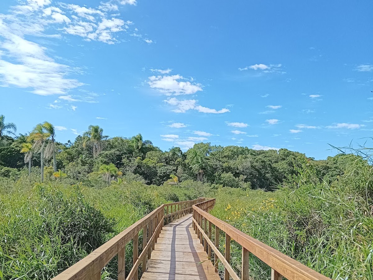 Trilha Parque das Dunas em Florianópolis — foto 2