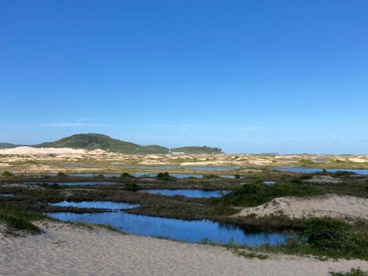 Trilha Parque das Dunas em Florianópolis — foto 3