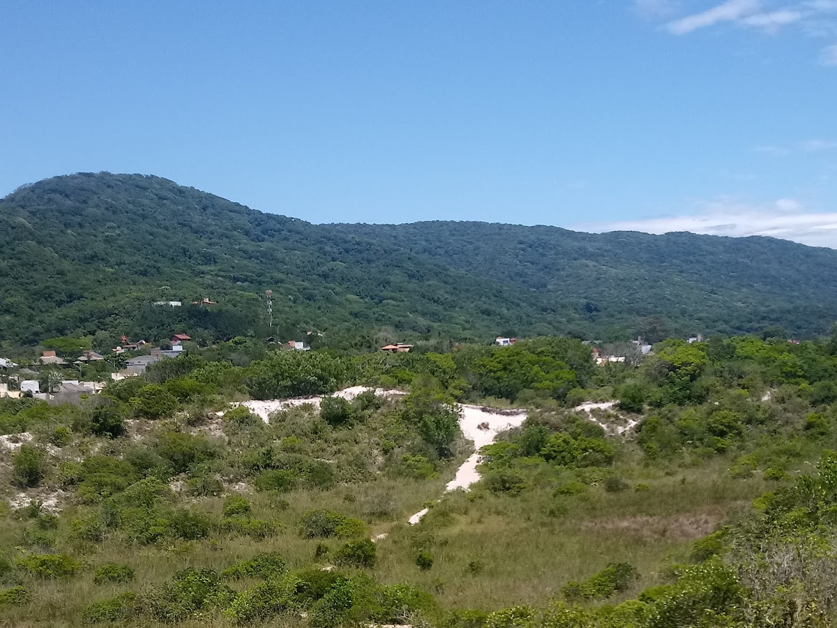 Trilha Parque das Dunas em Florianópolis — foto 4