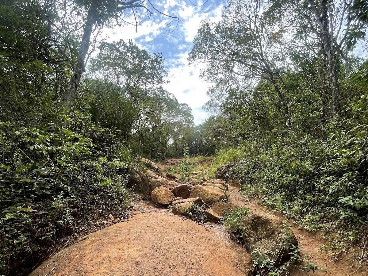 Trilha Praia do Gravatá em Florianópolis — foto 3