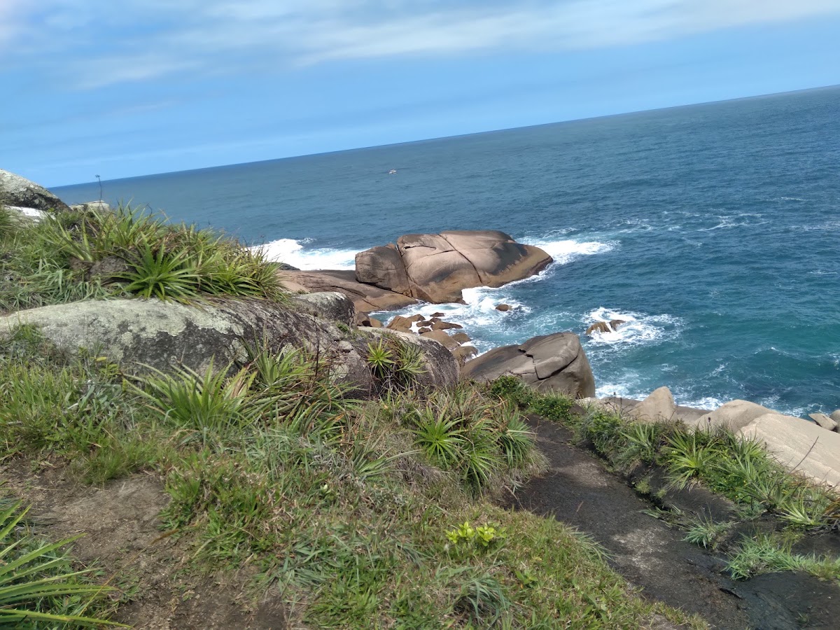 Trilha Praia do Gravatá em Florianópolis — foto 4