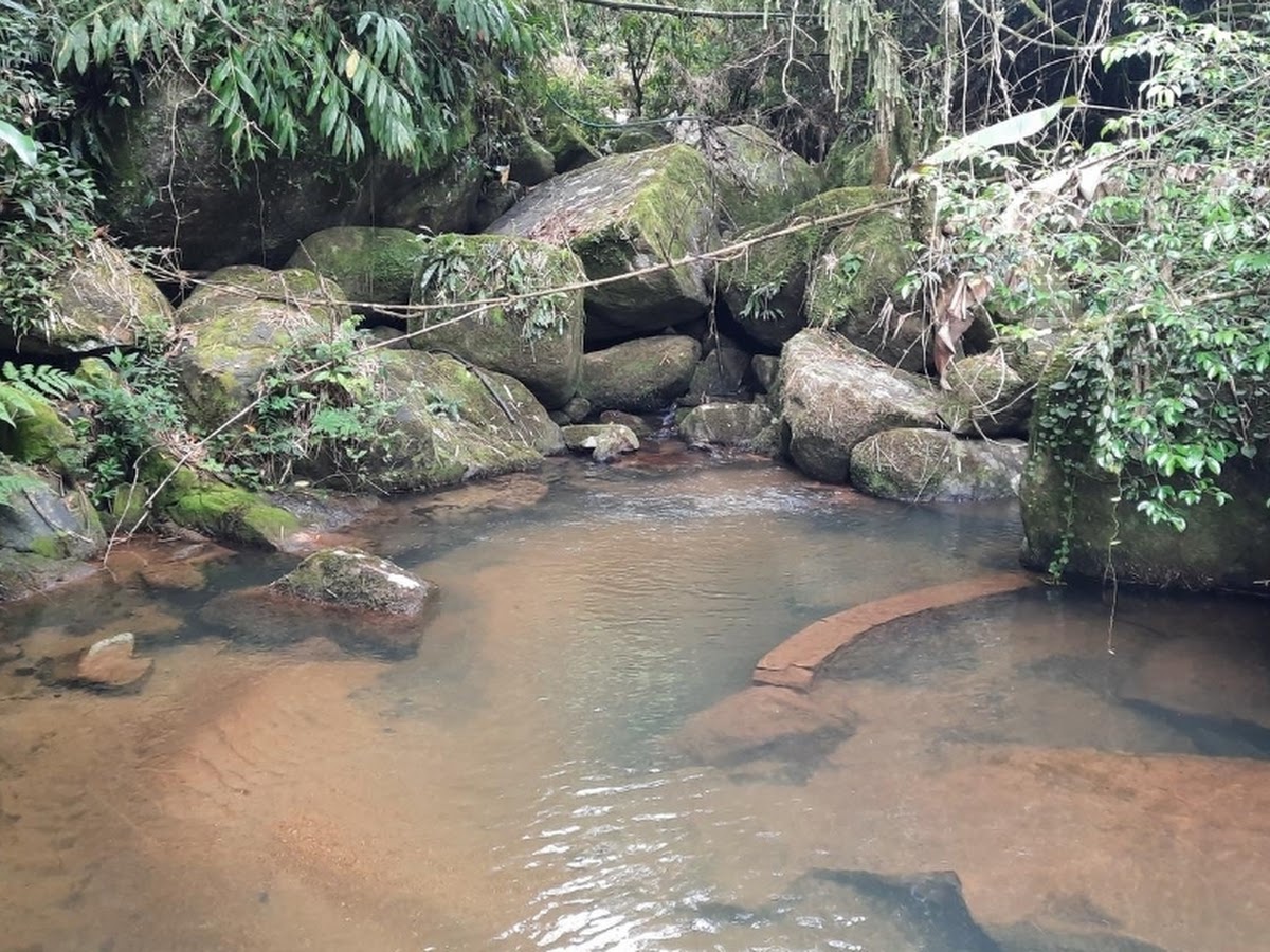 Trilha Rio Tavares ao Itacorubi em Florianópolis — foto 1