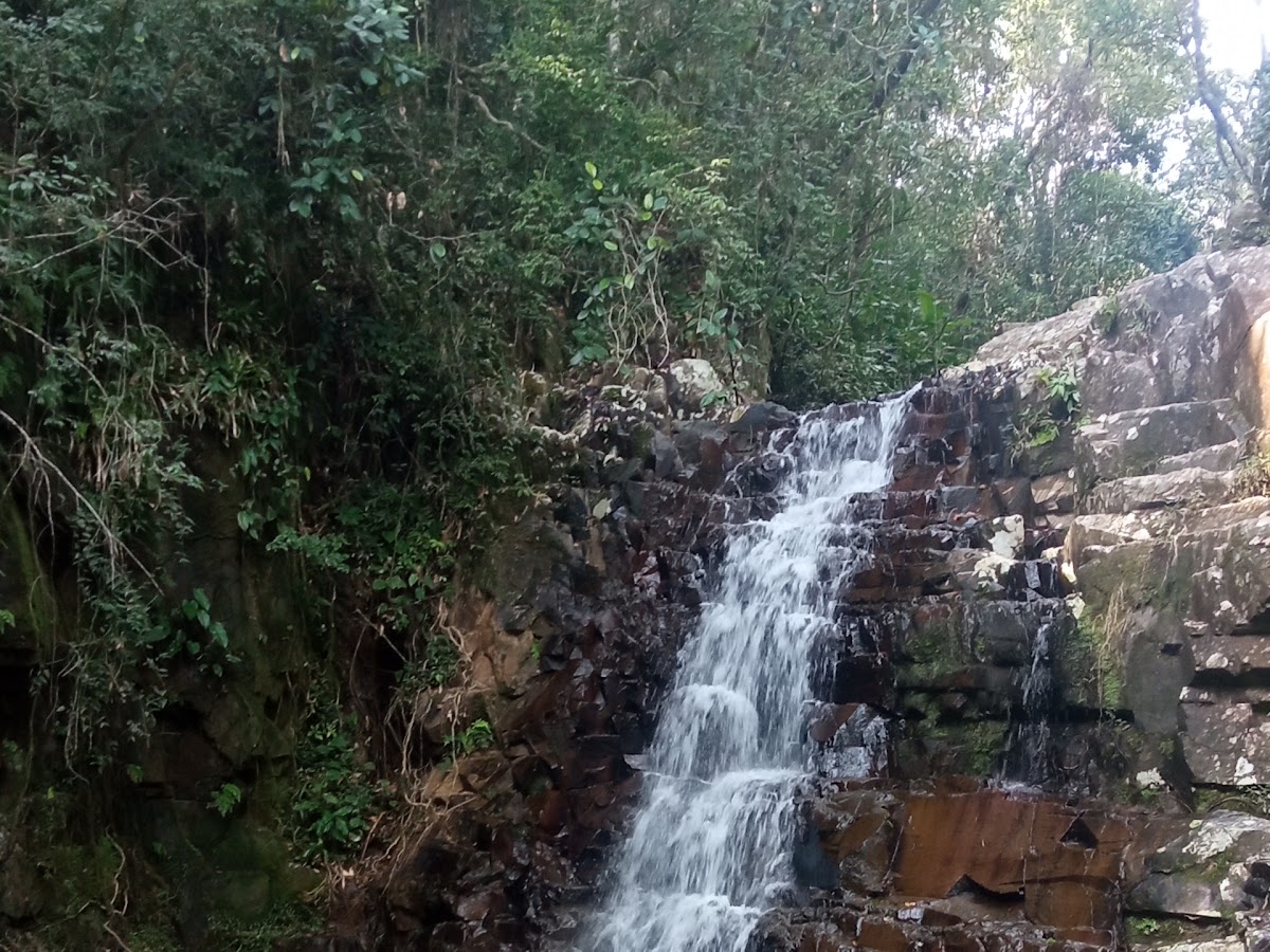 Trilhas de Criança em Florianópolis — foto 3