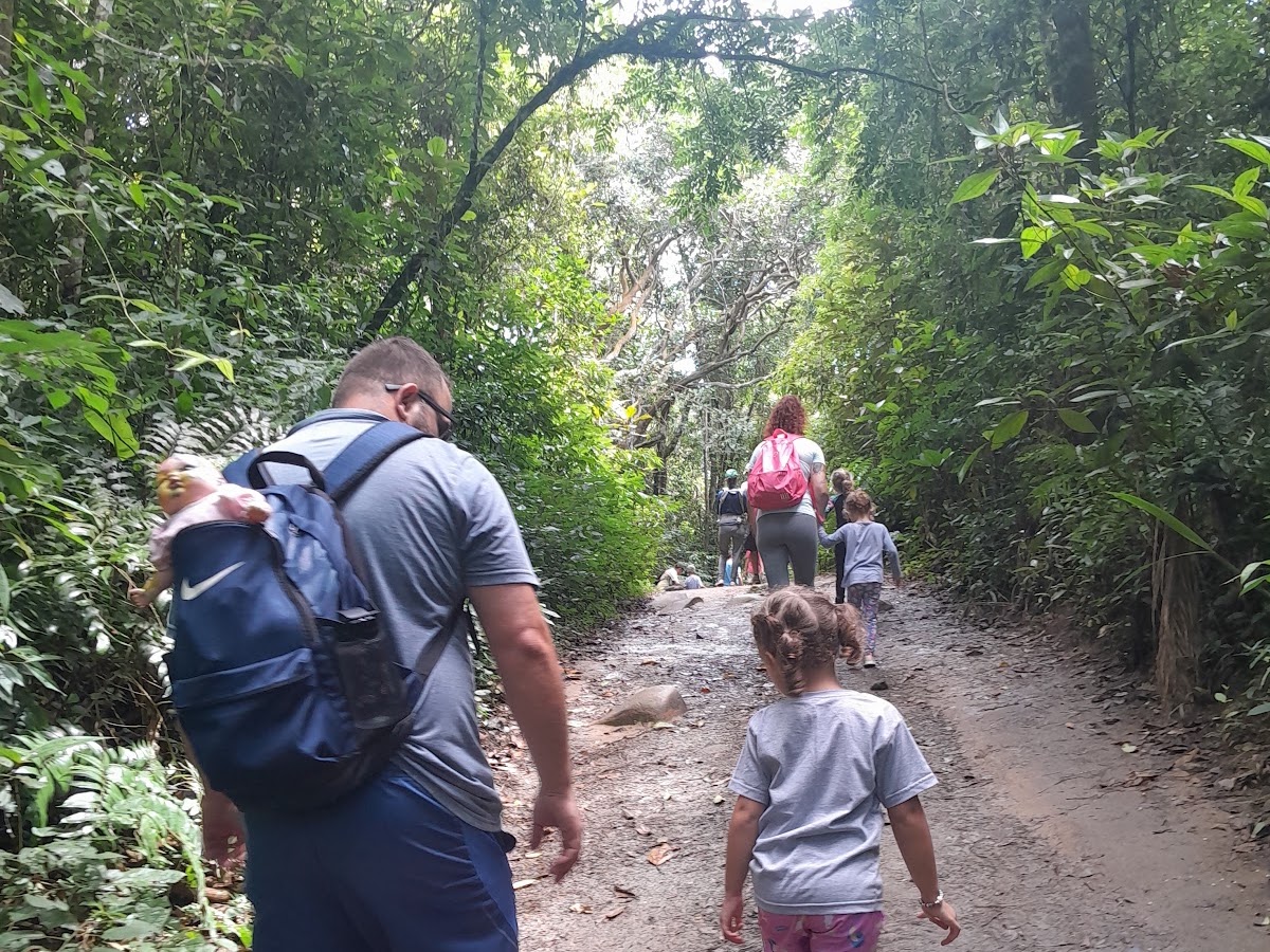 Trilhas de Criança em Florianópolis — foto 4