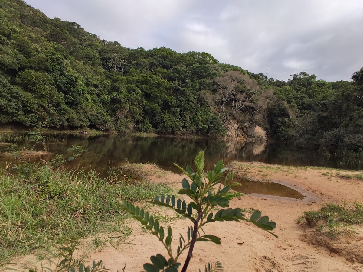 Unidade de Conservação RPPN Morro das Aranhas em Florianópolis — foto 1