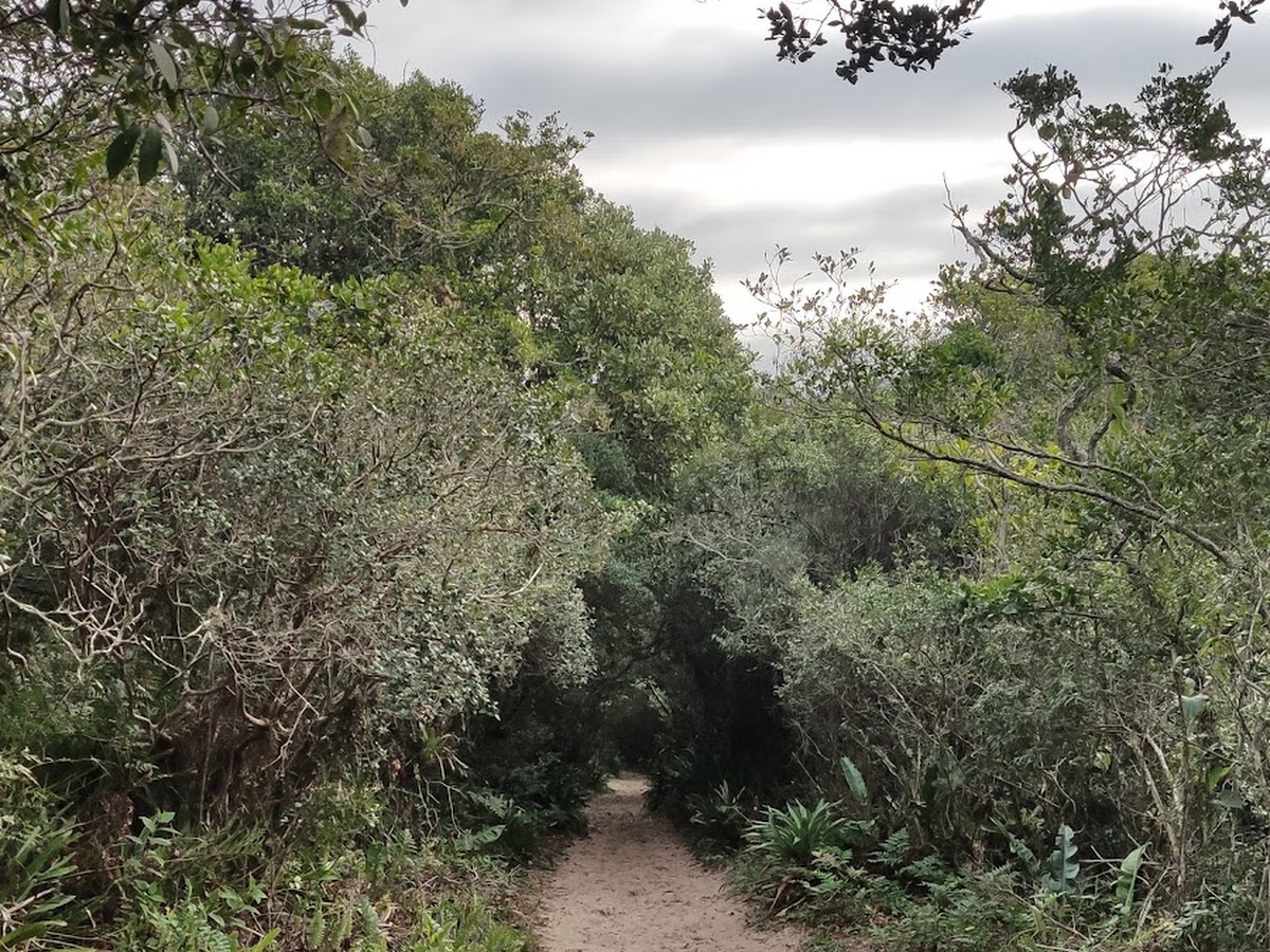 Unidade de Conservação RPPN Morro das Aranhas em Florianópolis — foto 3