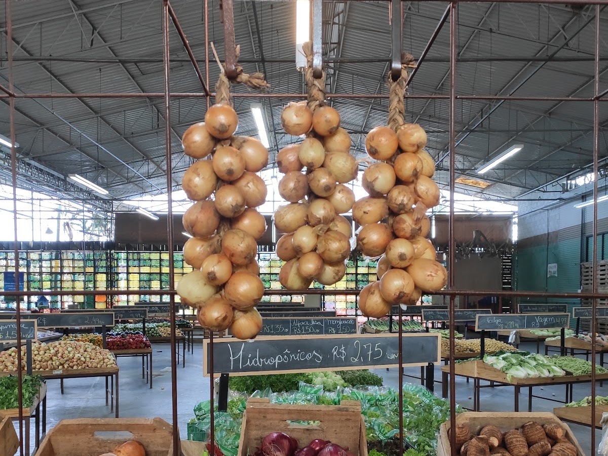 Vendo Verde Orgânicos em Florianópolis — foto 3