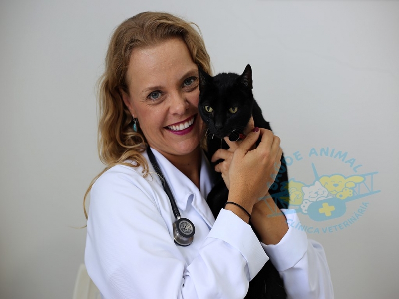 Veterinária Saude Animal Floripa em Florianópolis — foto 3