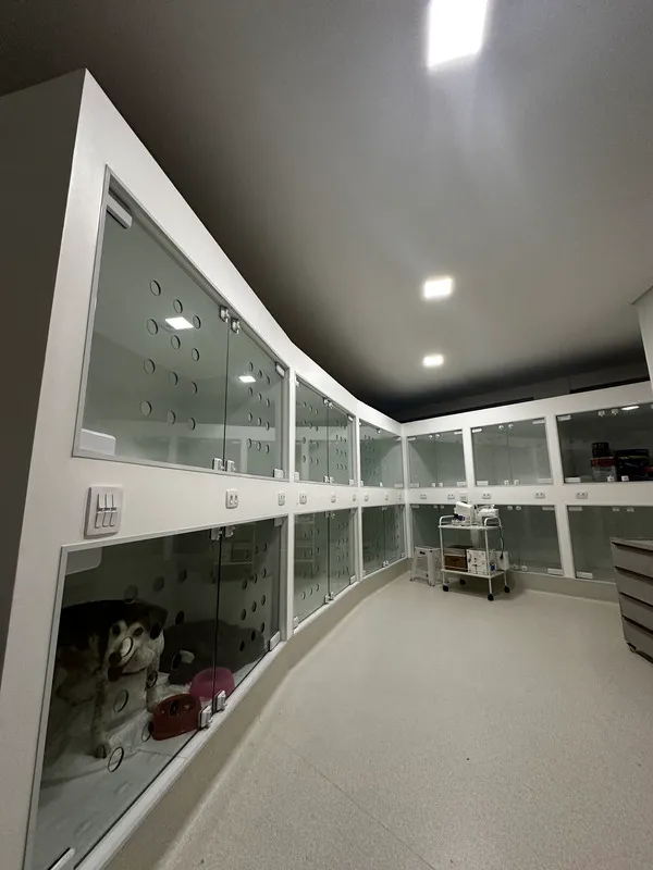 Vettis Clínica Veterinária 24h | Córrego Grande | Florianópolis em Florianópolis — foto 3