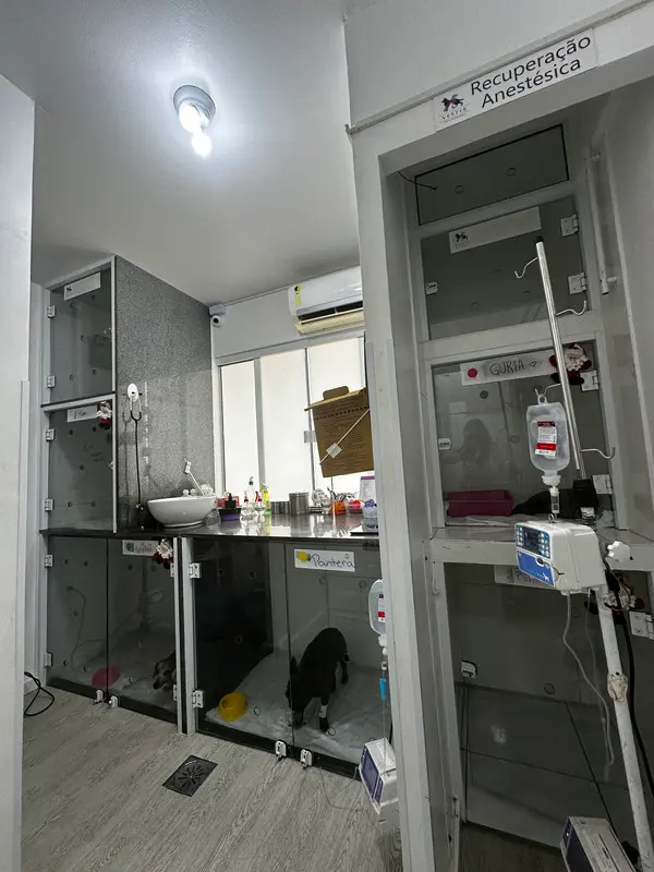 Vettis Clínica Veterinária 24h | Córrego Grande | Florianópolis em Florianópolis — foto 4
