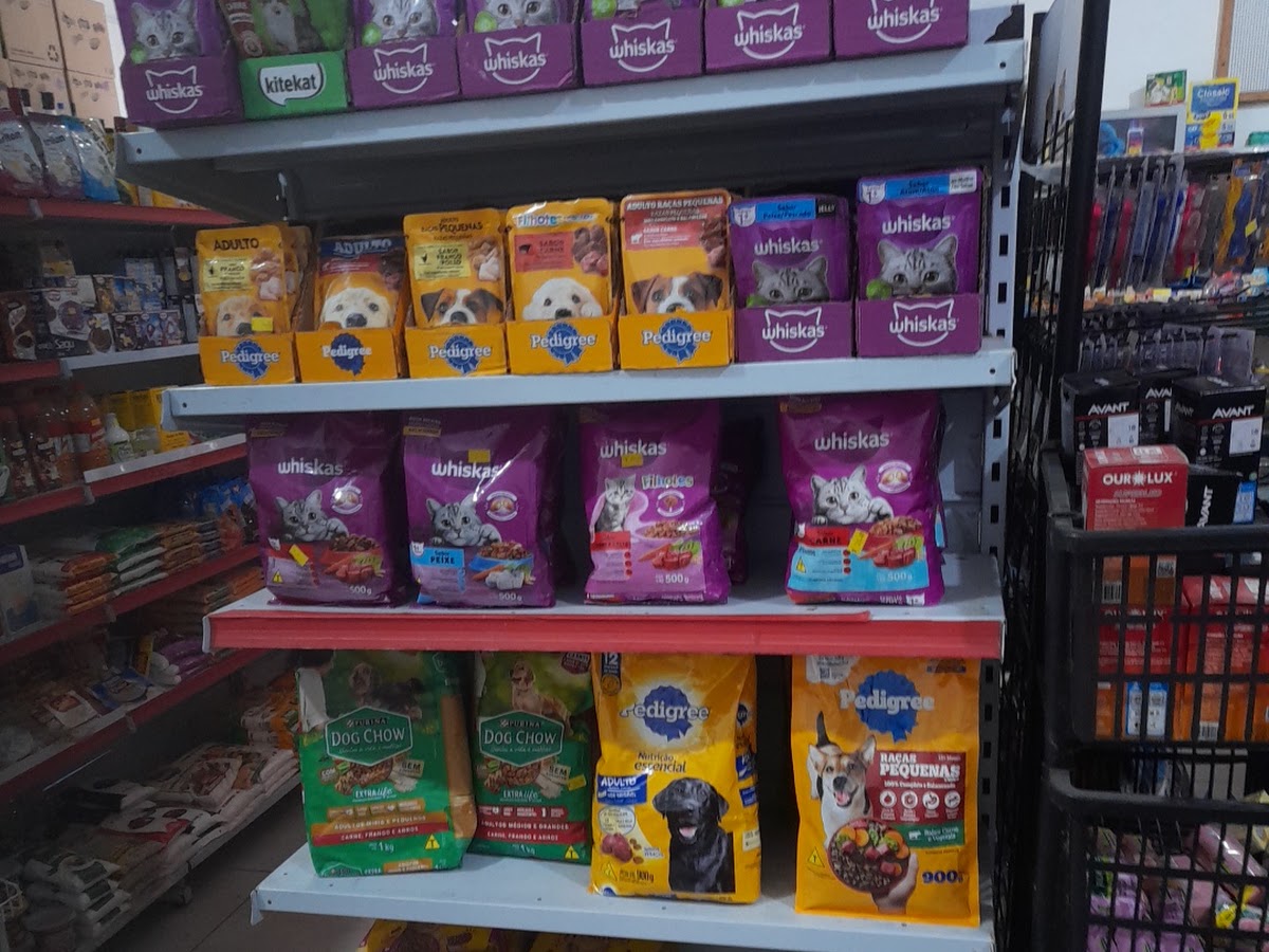 Villasmil em Florianópolis — foto 3