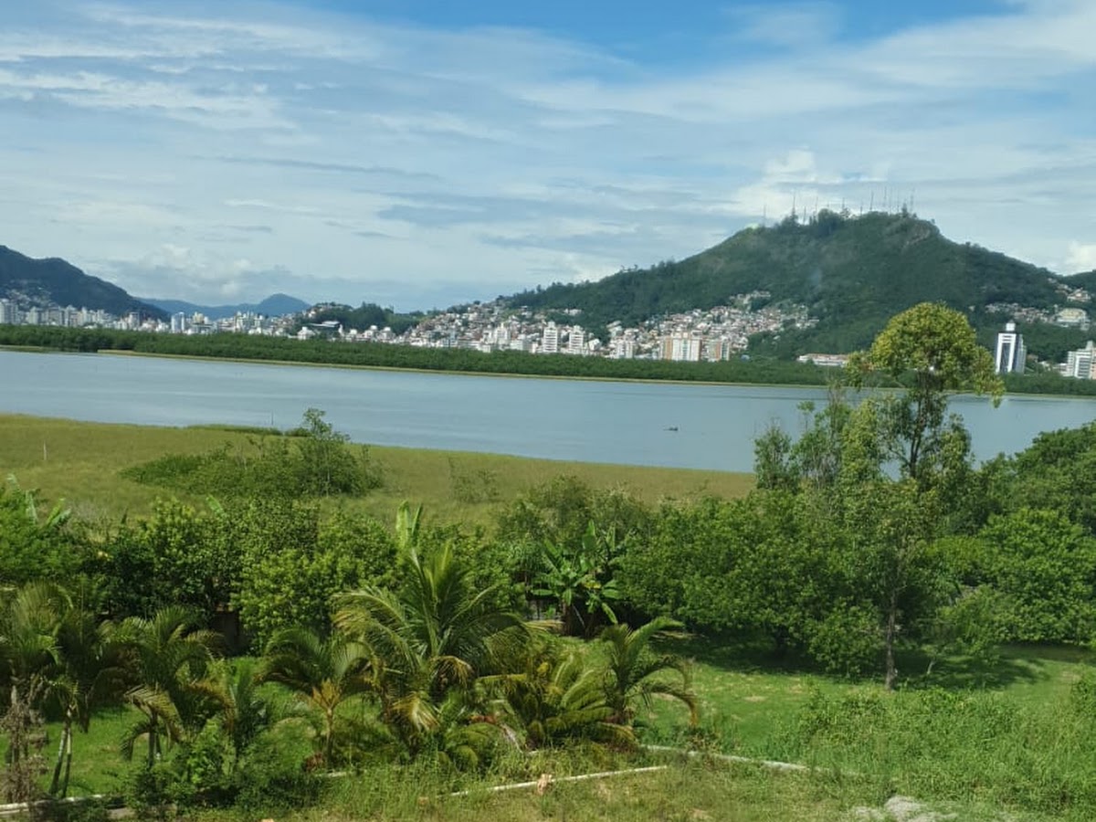 Vista do Manguezal do Itacorubi, Baía Norte, Florianópolis - SC em Florianópolis — foto 3