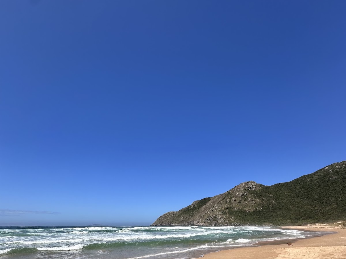 Z11 - Passeio de Barco - Lagoinha do Leste em Florianópolis — foto 2